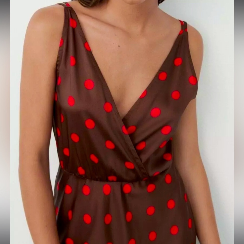 Zara Polka Dot Dress